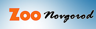 ЗооНовгород